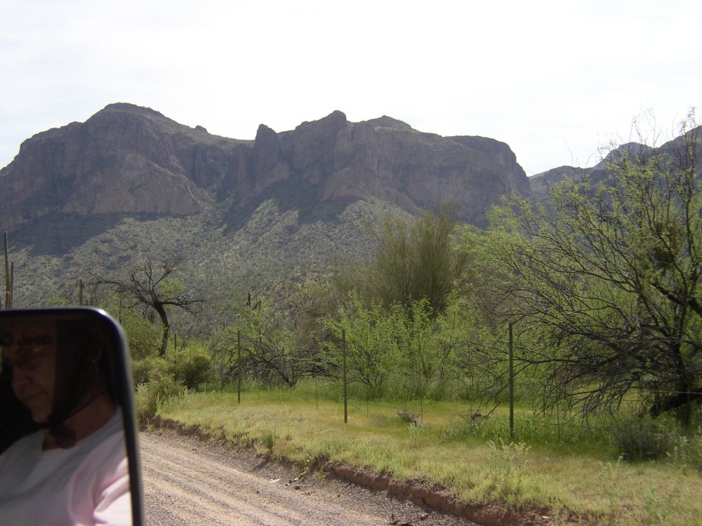 Picture 018
