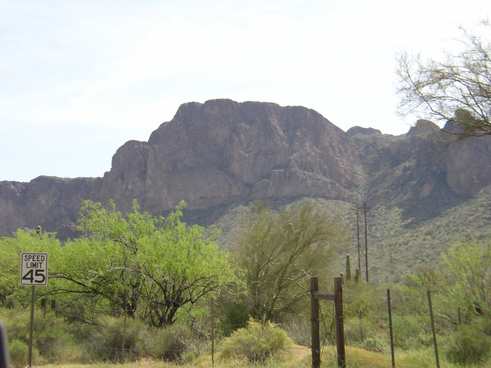 Picture 019
