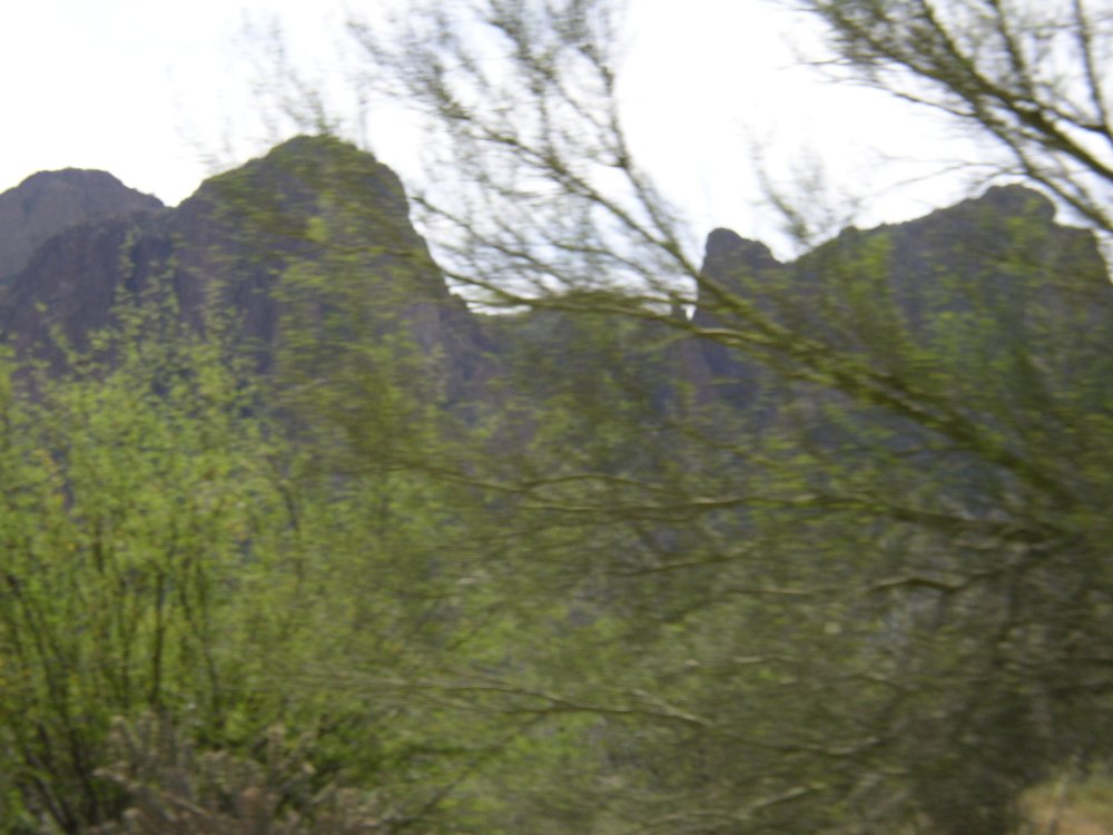 Picture 021