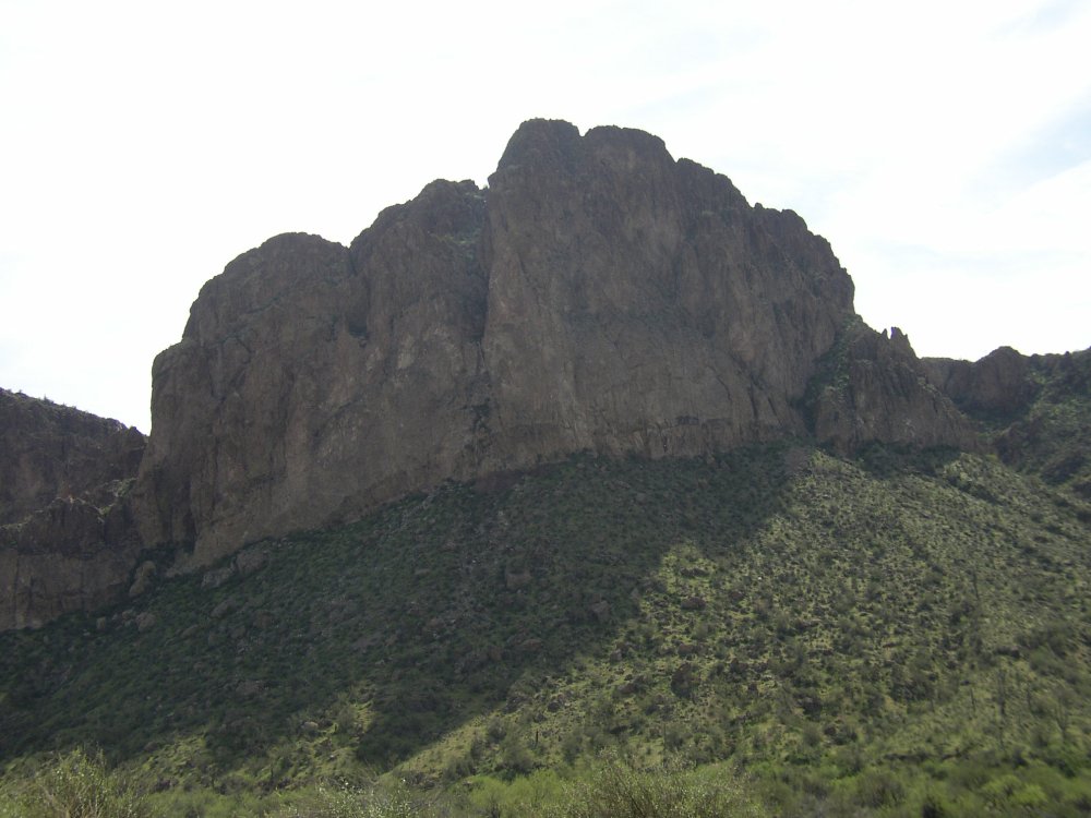 Picture 023