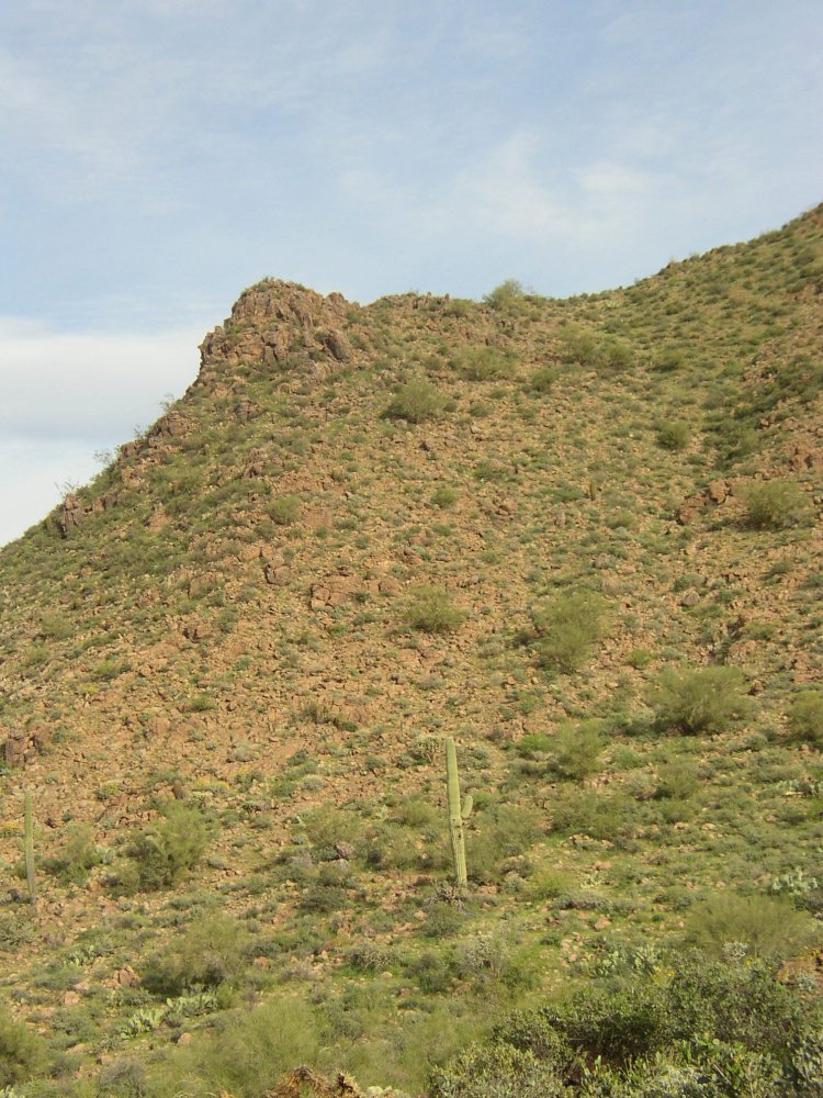 p4220048