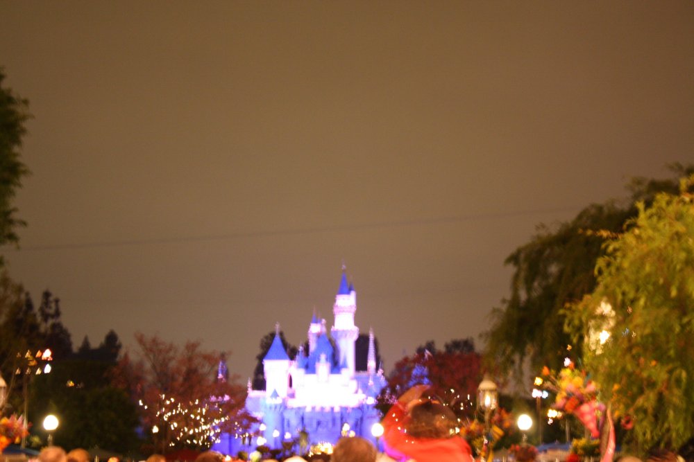 Disney 016