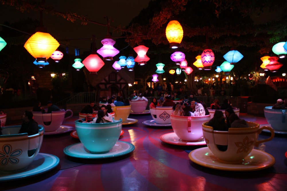 Disney 504