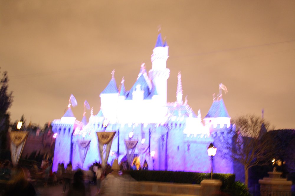 Disney 511