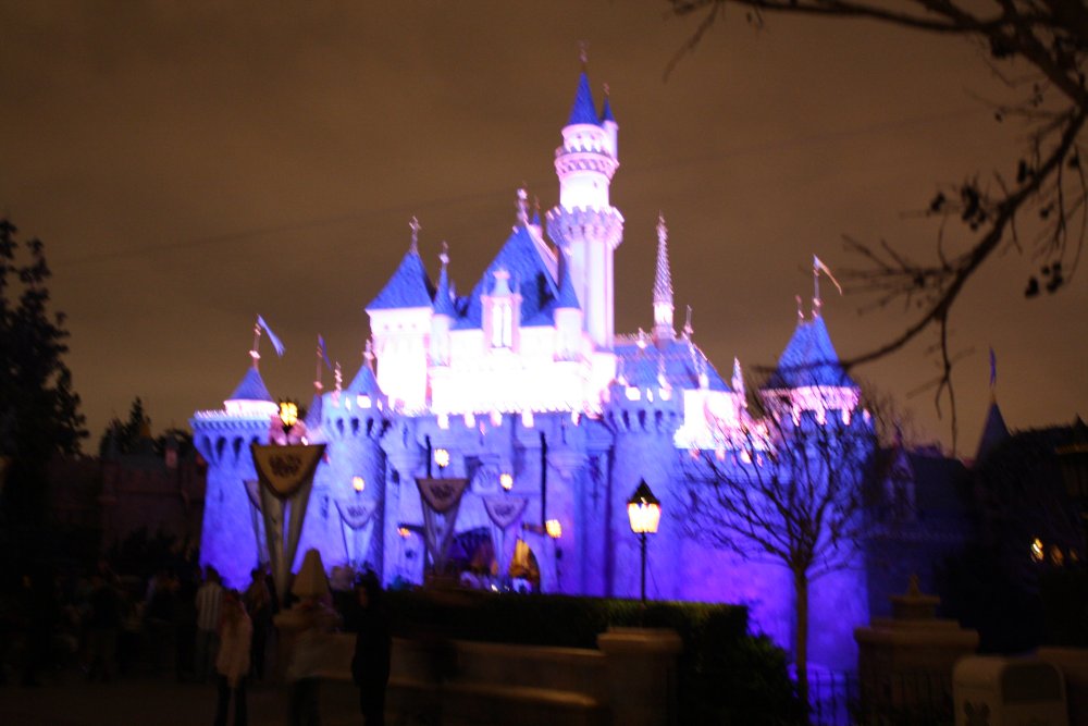 Disney 512