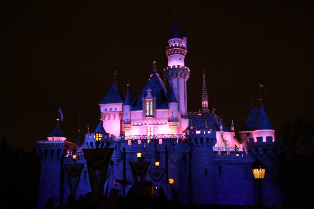 Disney 516