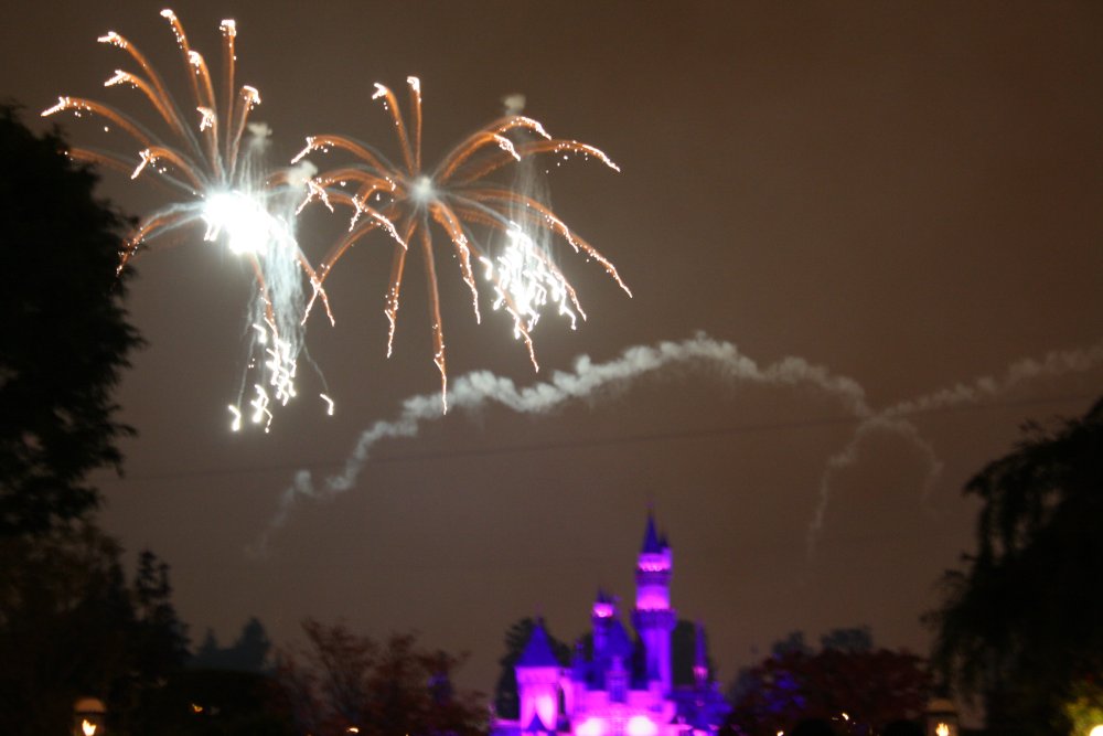 Disney 023