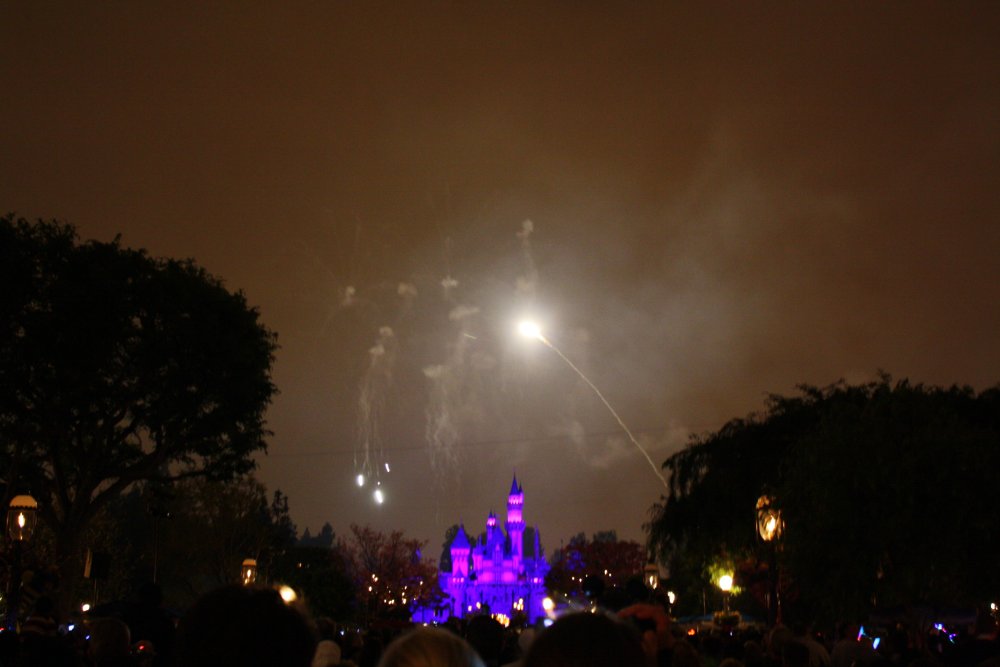 Disney 029