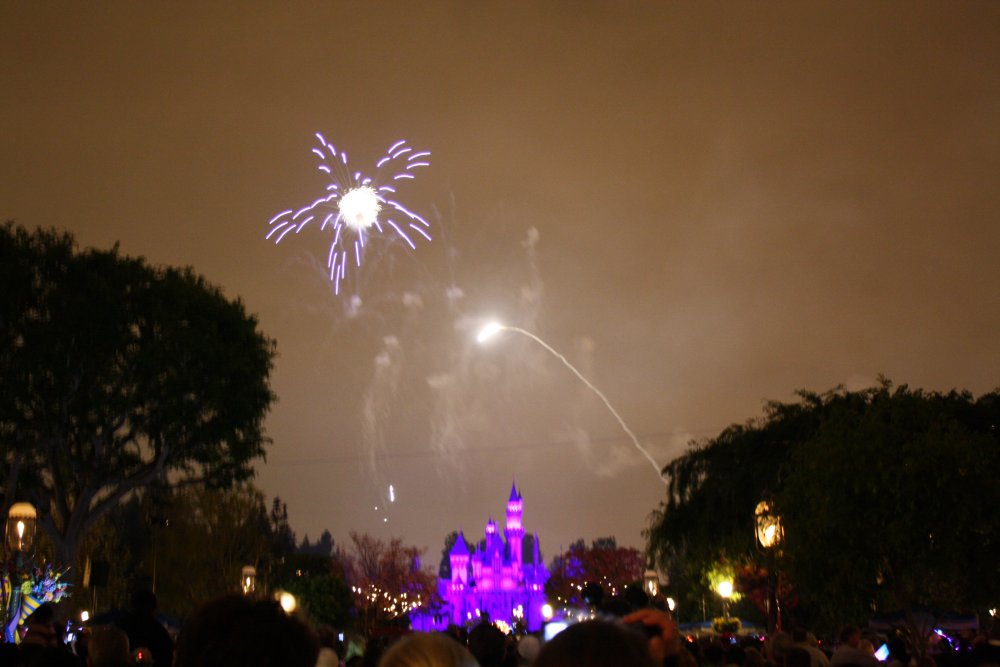 Disney 030
