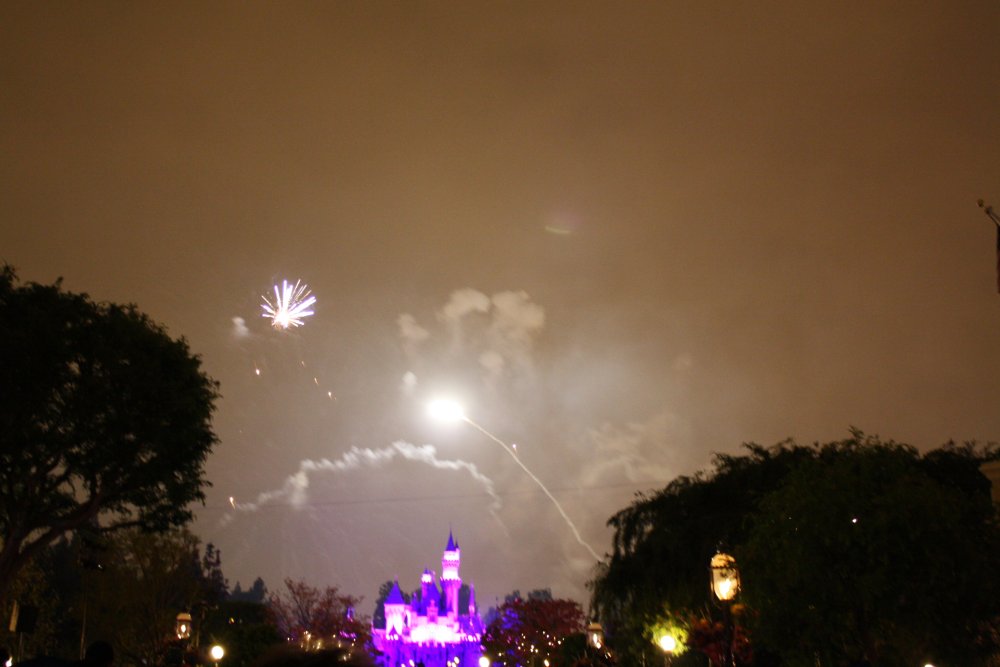 Disney 041