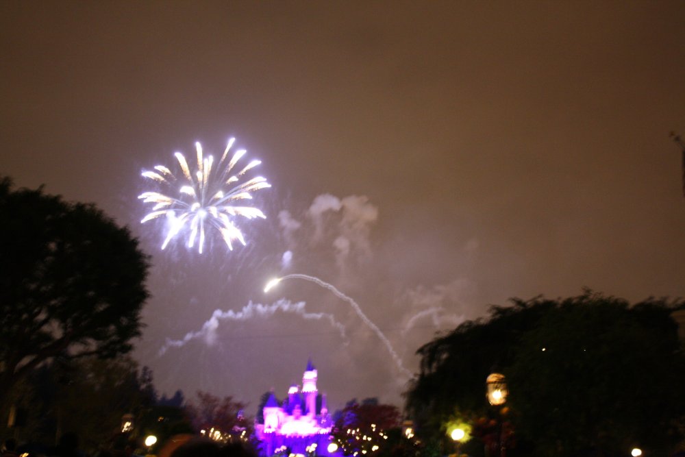 Disney 042