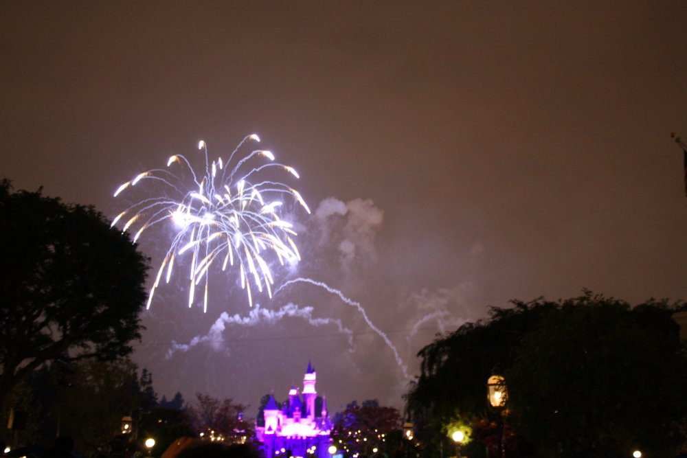 Disney 043