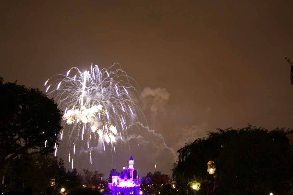 Disney 048