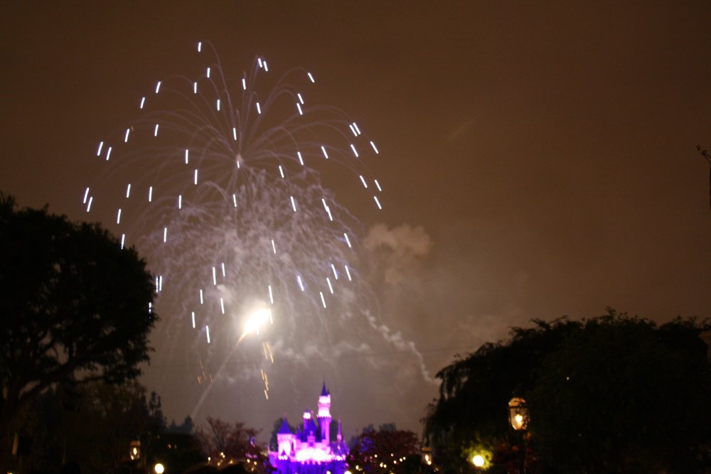 Disney 051
