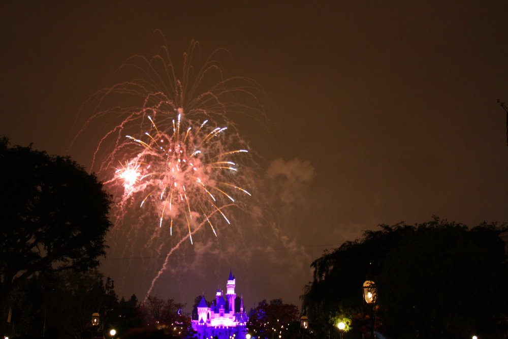 Disney 054