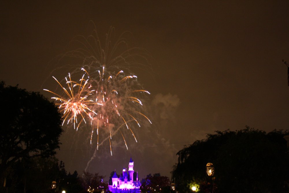 Disney 055