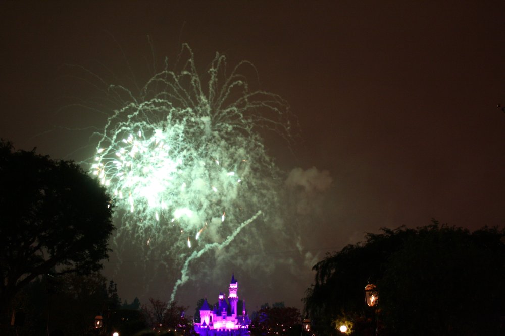 Disney 062