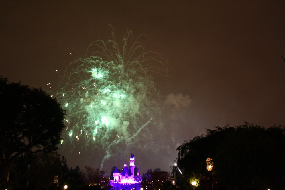Disney 065