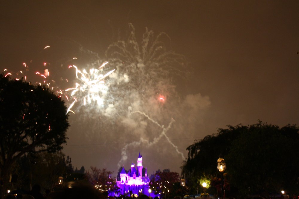 Disney 069