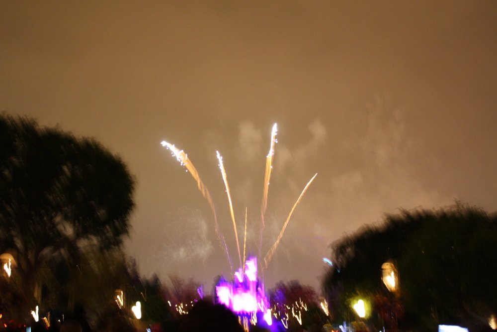 Disney 081