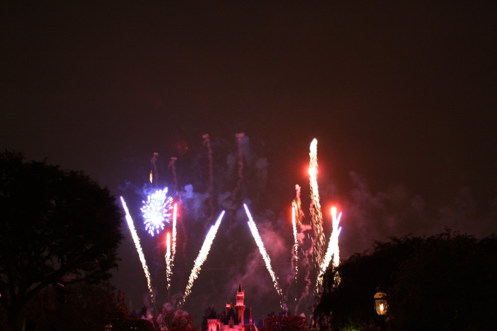 Disney 104
