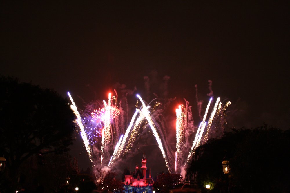 Disney 115