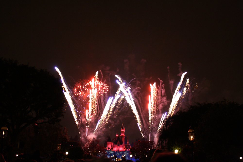 Disney 116