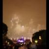 Disney 141