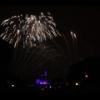 Disney 155
