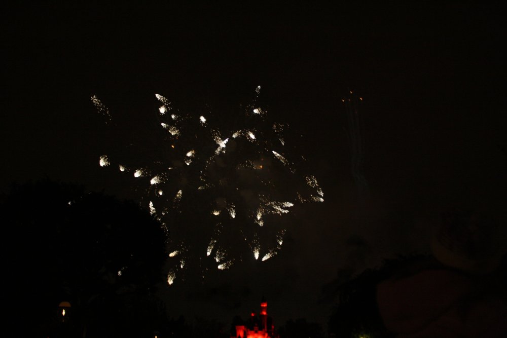 Disney 202