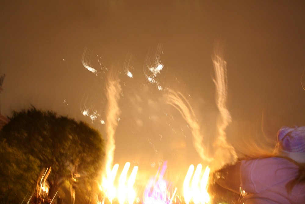 Disney 203