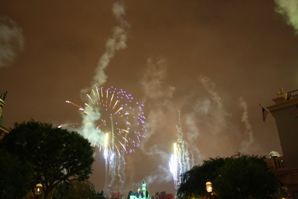 Disney 207