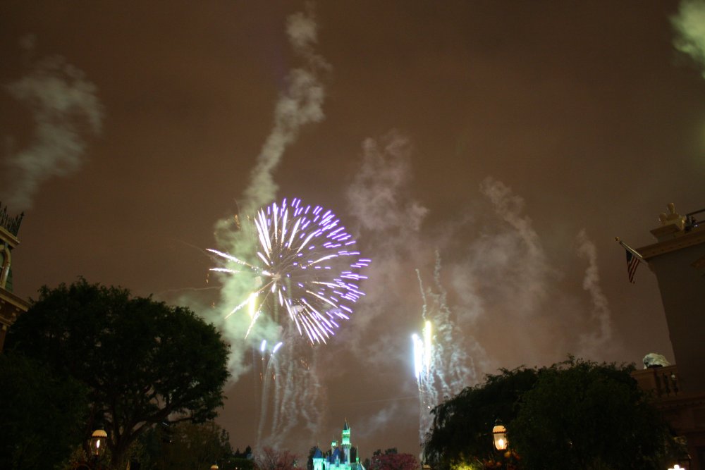 Disney 208
