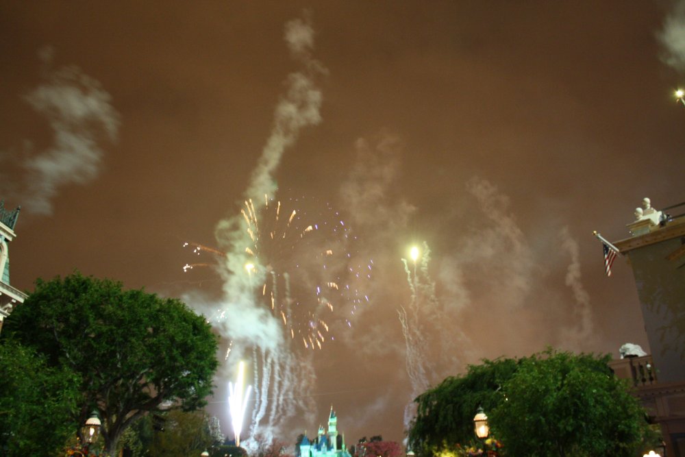 Disney 209
