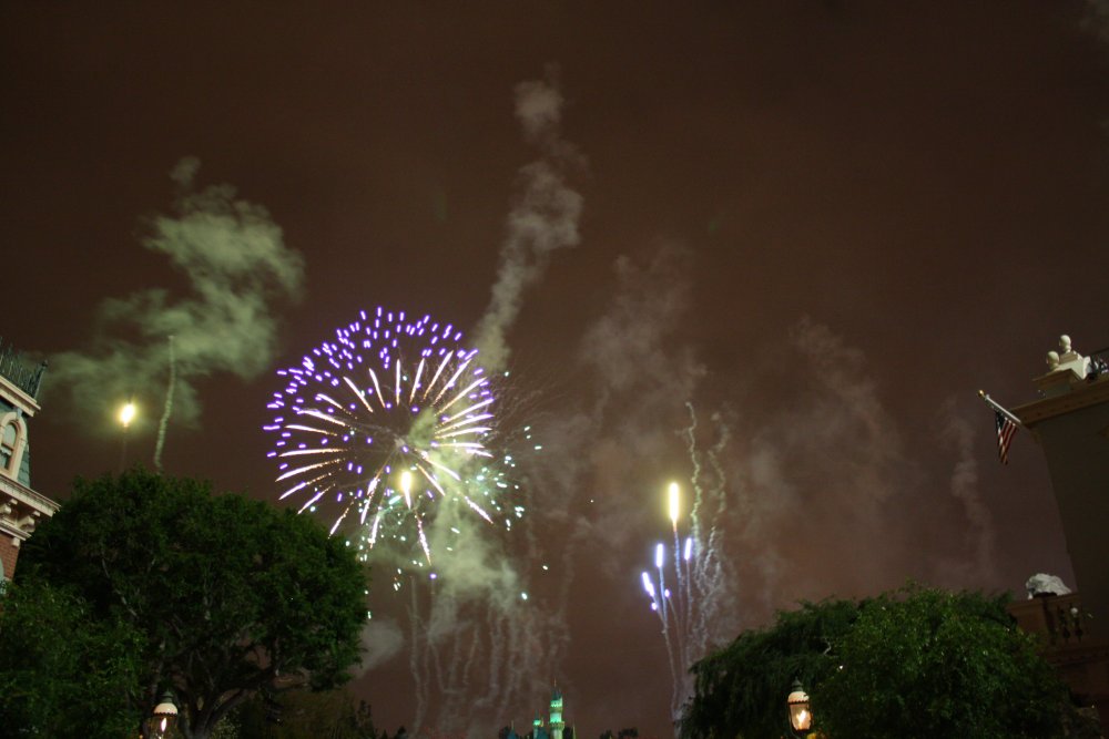 Disney 210
