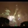 Disney 213