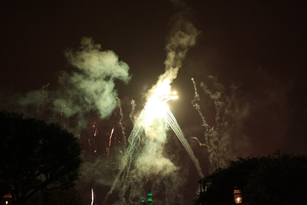 Disney 217