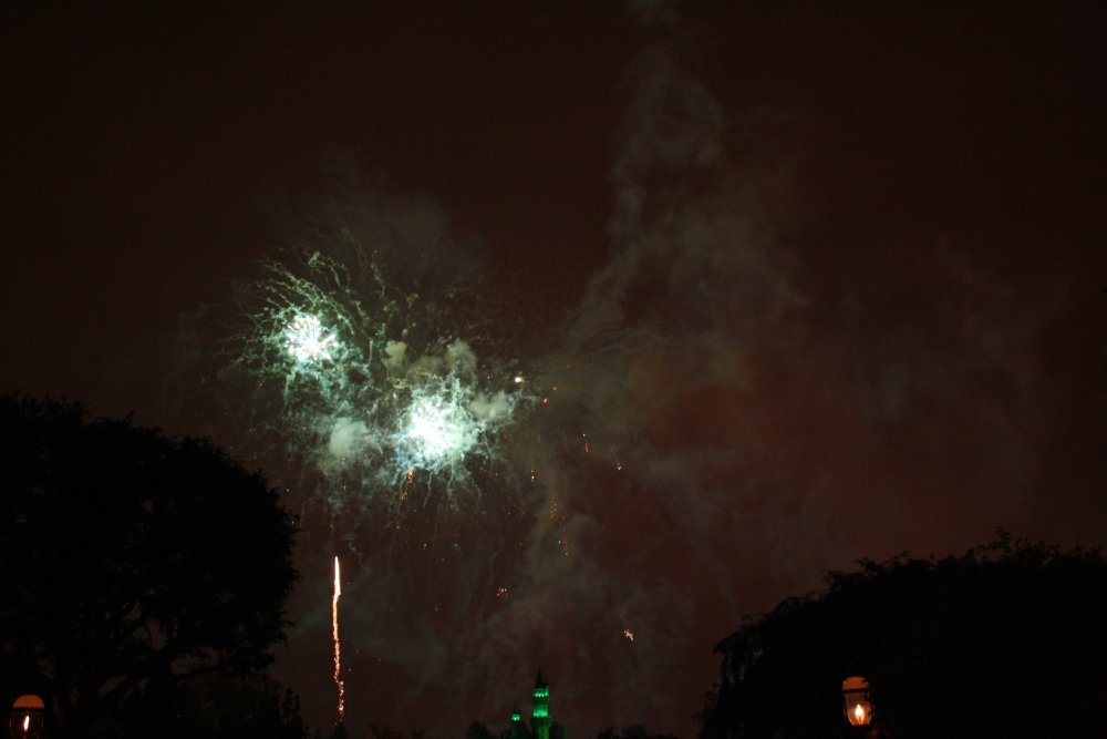 Disney 219