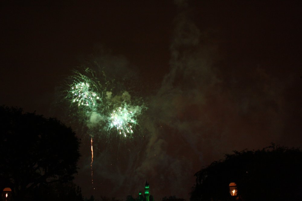 Disney 221