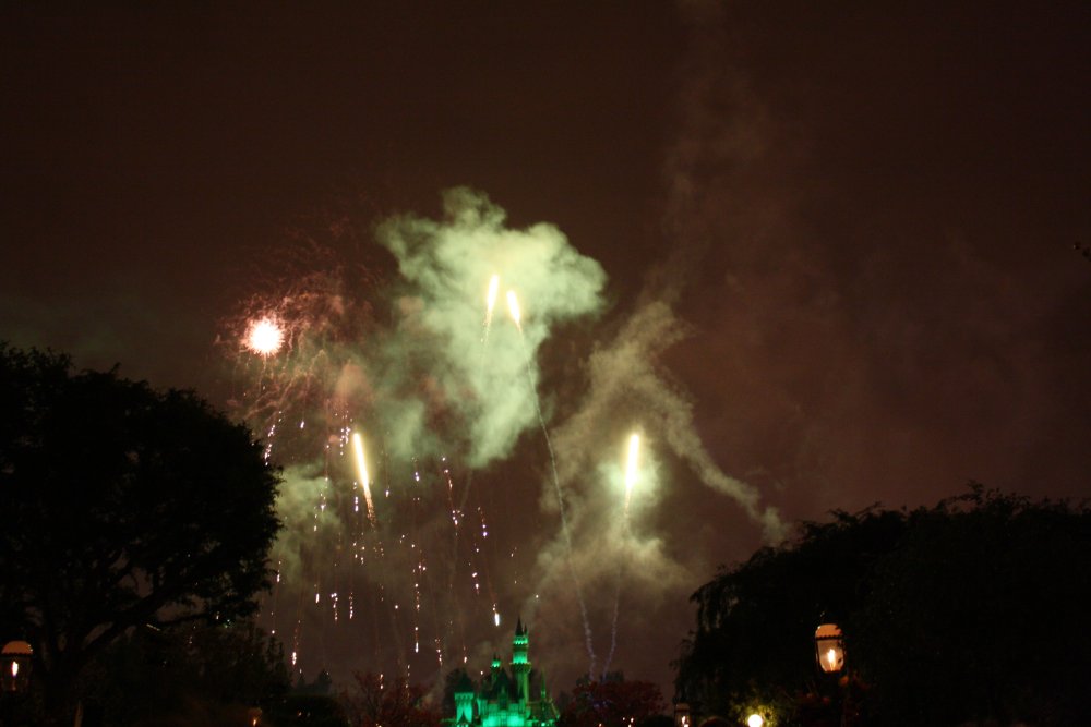 Disney 231
