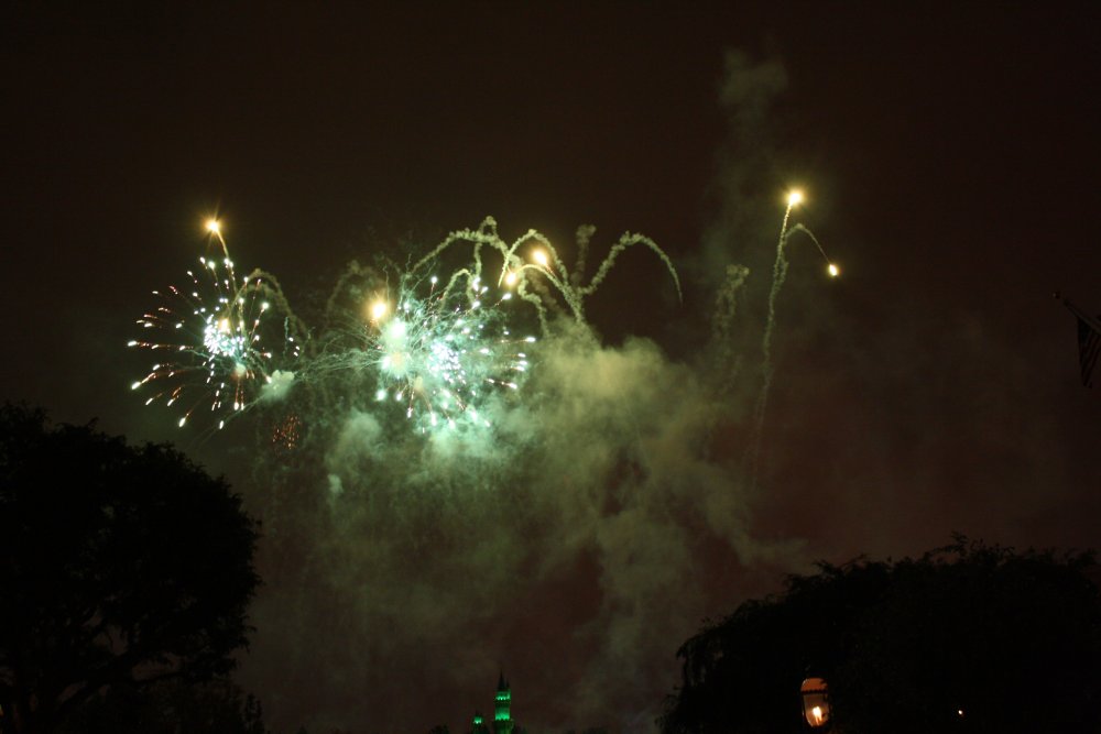 Disney 241