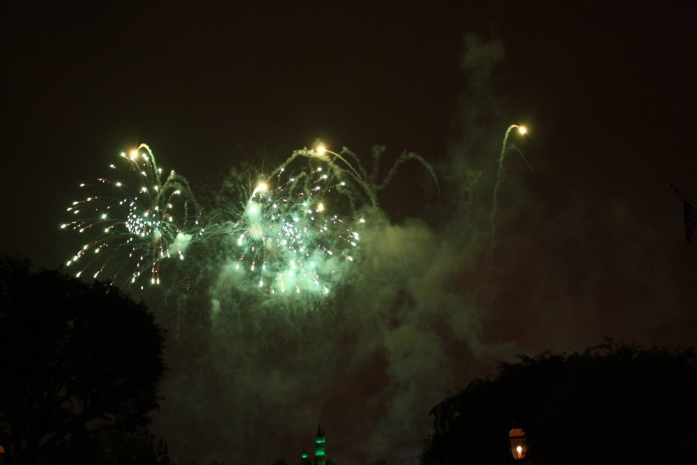 Disney 242