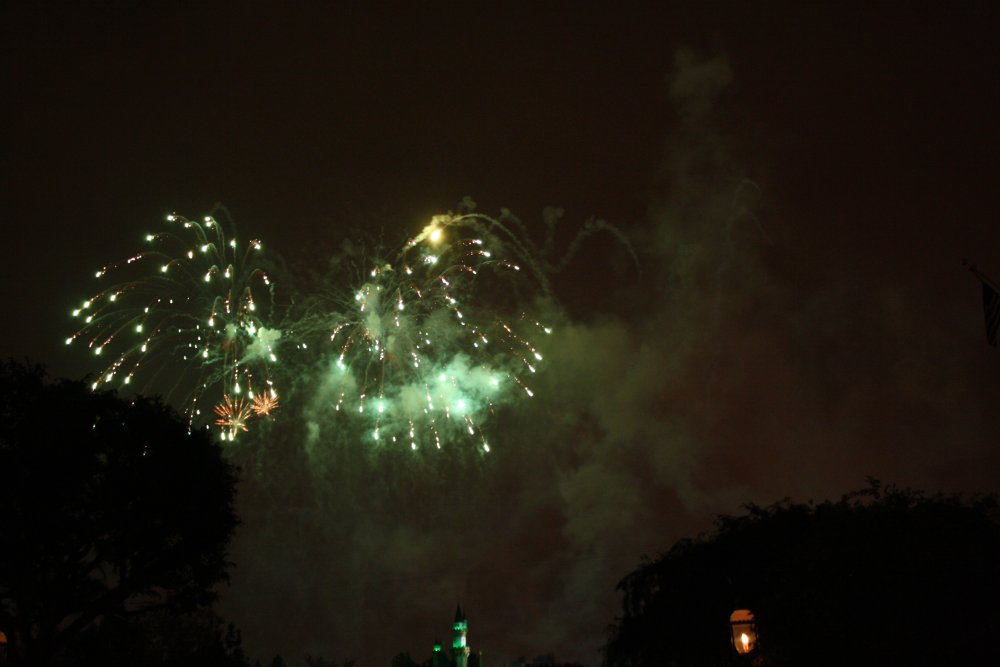 Disney 243