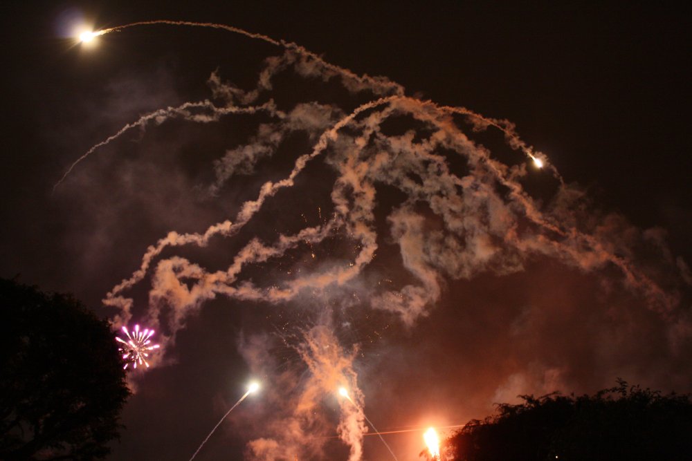 Disney 271