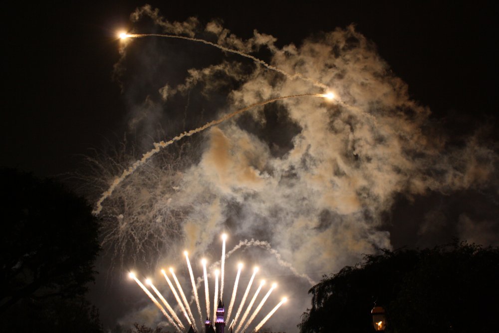 Disney 292