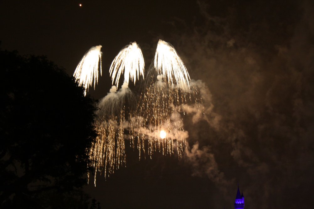 Disney 300
