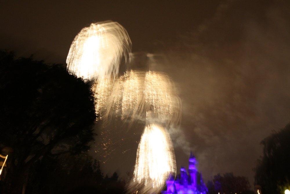 Disney 302