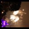 Disney 305