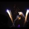 Disney 324