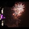 Disney 347